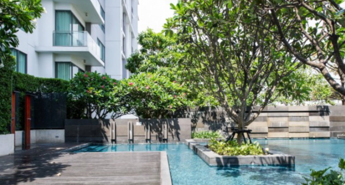 รูป ให้เช่าคอนโด เดอะ รูม สุขุมวิท 62 (The Room Sukhumvit 62) ใกล้ BTS ปุณณวิธี พร้อมเข้าอยู่ โทรด่วน 0649963639 - รูปที่ 13/16