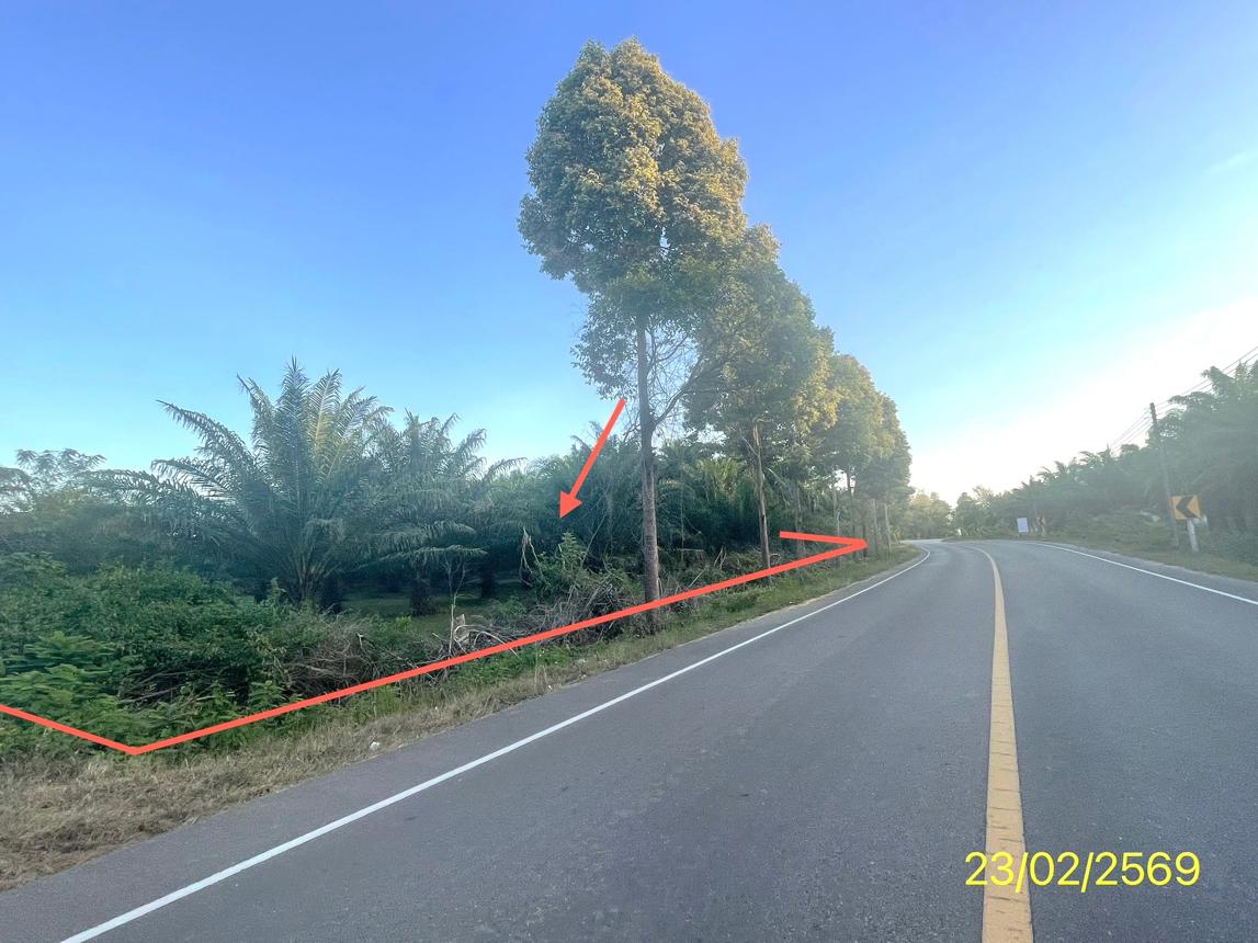 picture LAND 1887 Sq.w. Hat Samran Trang for 5.2M - 19/36
