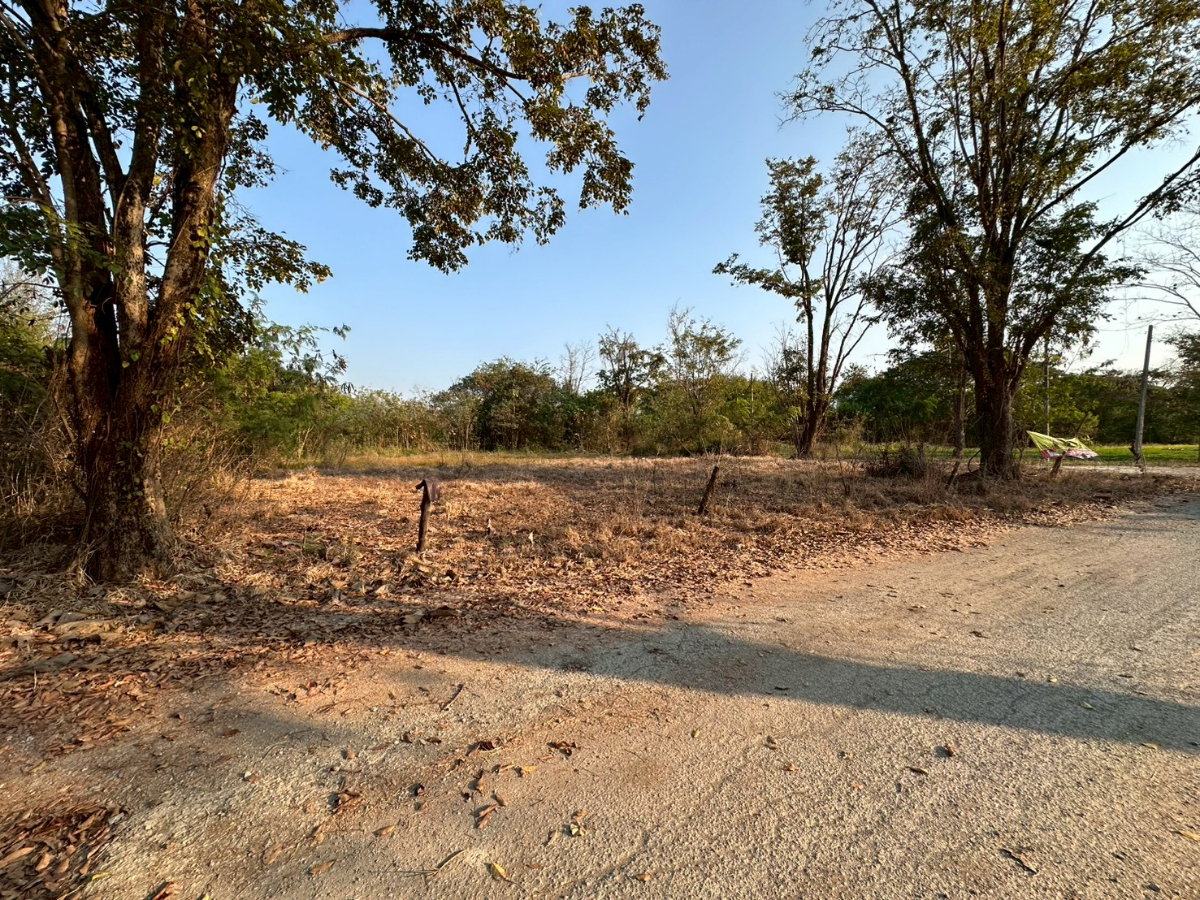 รูป ขายที่ดิน ห้วยทราย สันกำแพง ห่างจากเมือง20กม. - รูปที่ 5/7