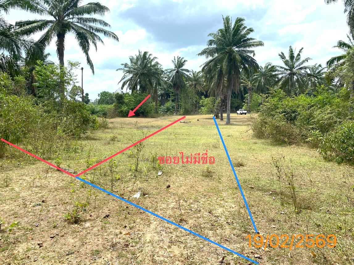 รูป ที่ดินว่างเปล่า 482.8 ตร.วา เหนือคลอง กระบี่ 1.2M - รูปที่ 9/18