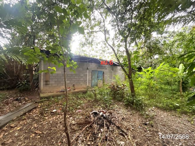 รูป อาคารโรงงาน สำหรับขาย - วัดประดู่ เมืองสุราษฎร์ธานี สุราษฎร์ธานี - รูปที่ 9/28