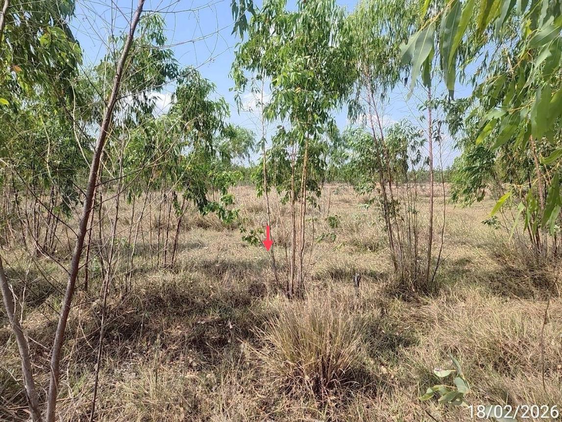 รูป ที่ดินว่างเปล่า 1781 ตร.วา สุวรรณภูมิ ร้อยเอ็ด 357,000 - รูปที่ 13/20