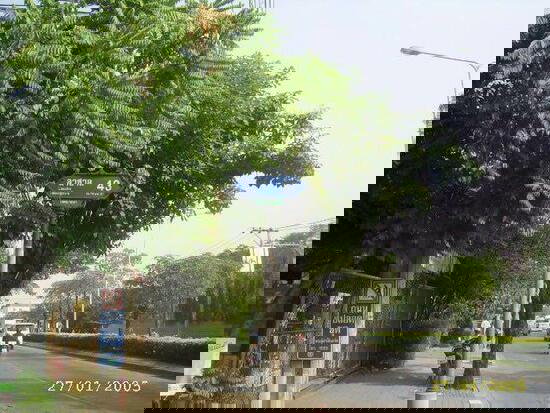 รูป ให้เช่าบ้าน เนื้อที่ 237 ตรว.บางนา กทม. - รูปที่ 4/4