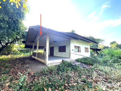 บ้านเดี่ยว 380 ตร.วา บึงสามัคคี กำแพงเพชร 1M