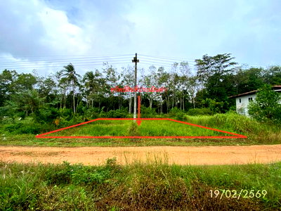 LAND 76.7 Sq.w. Rattaphum Songkhla for 537,000