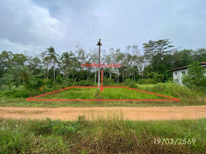 picture LAND 76.7 Sq.w. Rattaphum Songkhla for 537,000 - 1/24