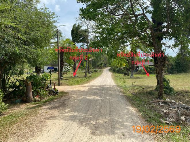 รูป ที่ดินว่างเปล่า 1047 ตร.วา เหนือคลอง กระบี่ 4.6M - รูปที่ 9/24