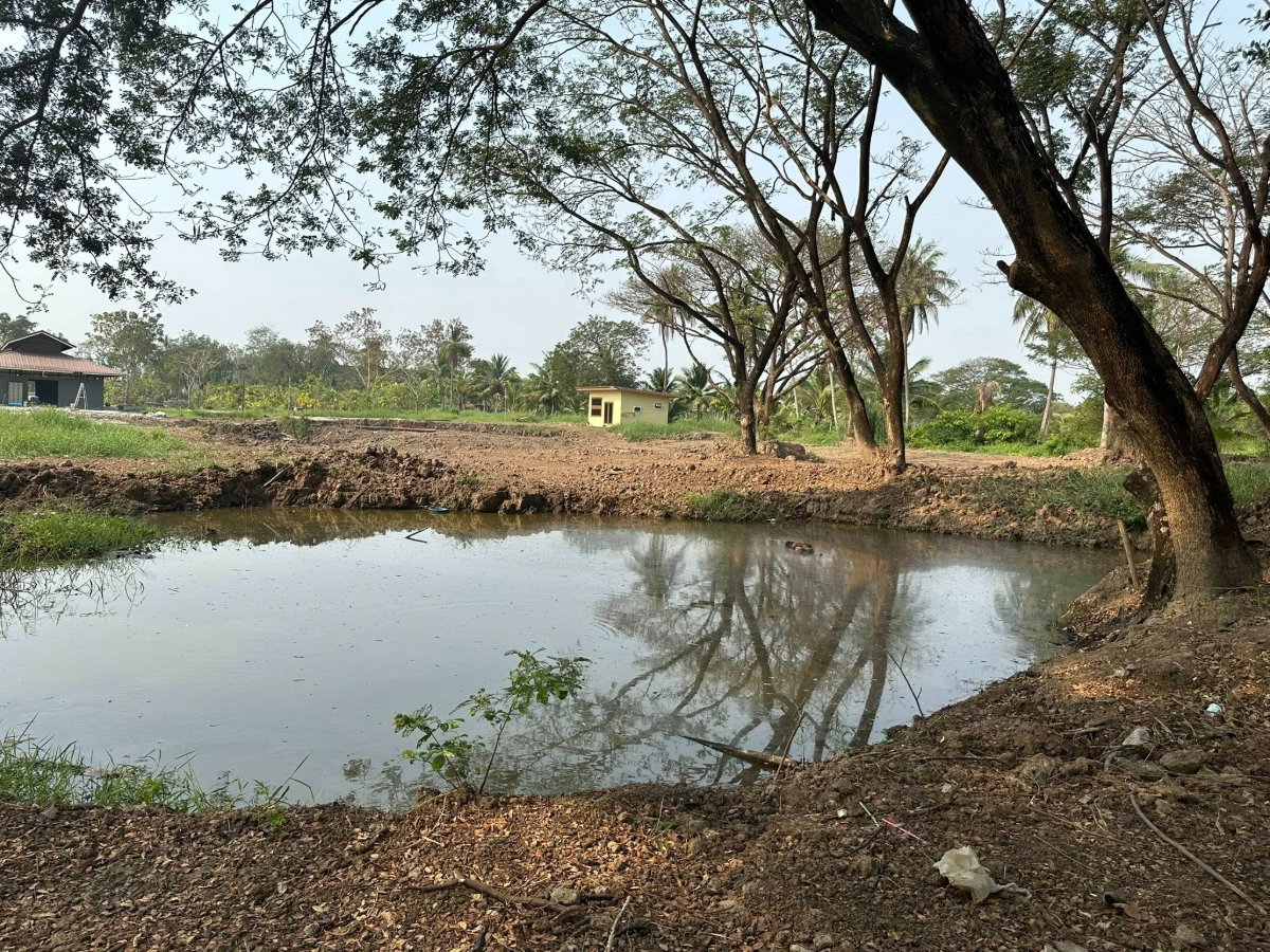 รูป ที่ดินให้เช่าทำสวนเกษตร มหาสวัสดิ์ นครปฐม - รูปที่ 4/4