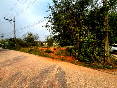 ที่ดิน เมืองนครราชสีมา โคราช : ขายที่ดินโคราช 97 ตรว. ติดถนน หน้า ม.ออมสิน รร.บุญเหลือฯ โคราช ราคาถูก