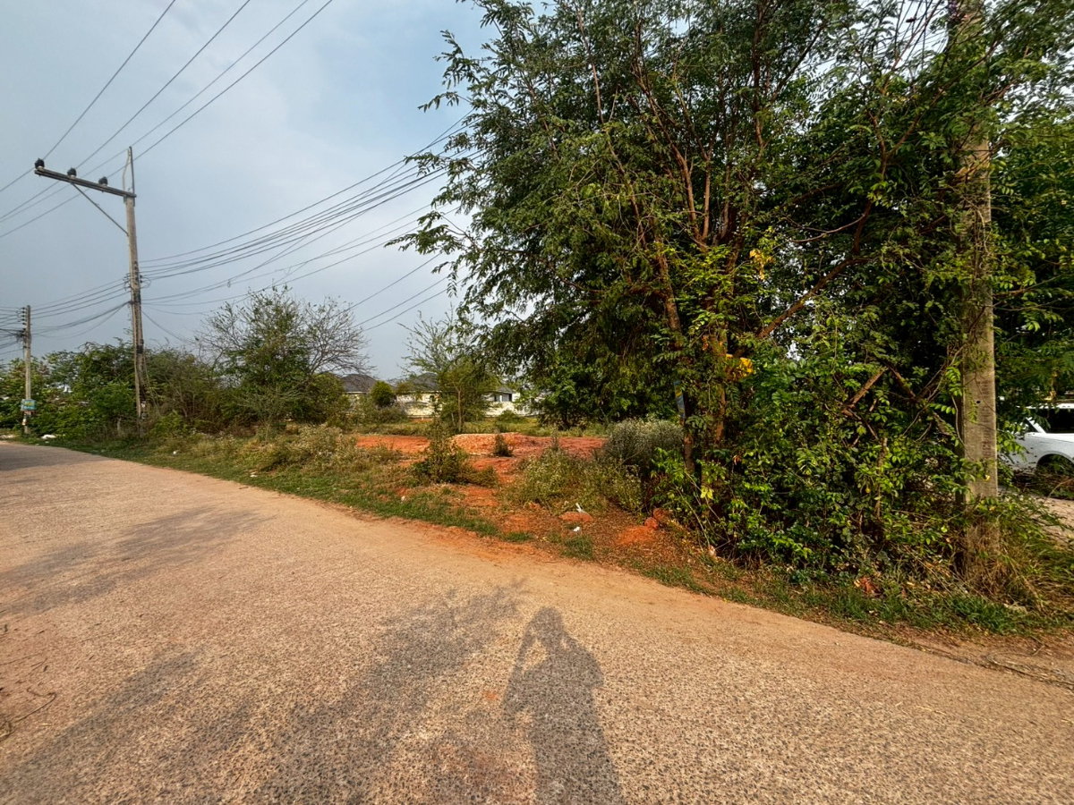 รูป ขายที่ดินโคราช 97 ตรว. ติดถนน หน้า ม.ออมสิน รร.บุญเหลือฯ โคราช ราคาถูก - รูปที่ 1/8