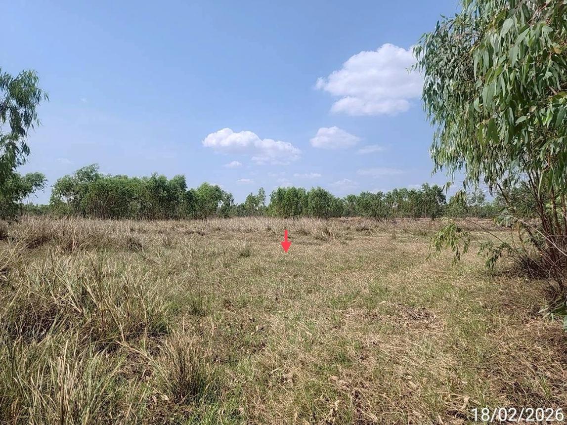 รูป ที่ดินว่างเปล่า 1781 ตร.วา สุวรรณภูมิ ร้อยเอ็ด 357,000 - รูปที่ 16/20
