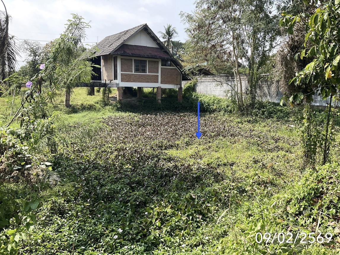 รูป บ้านเดี่ยว สำหรับขาย - ดอนศิลา เวียงชัย เชียงราย - รูปที่ 14/18