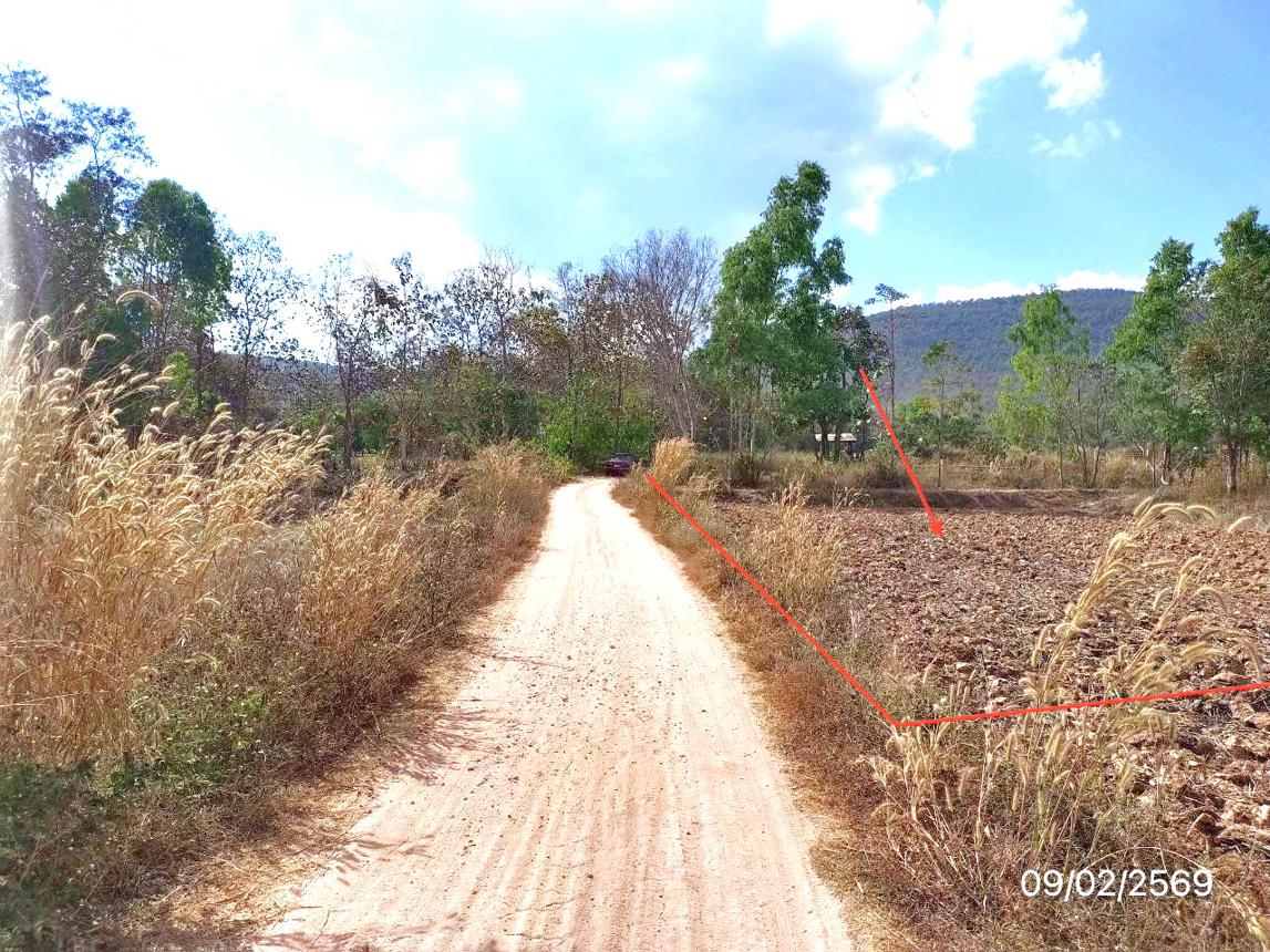 picture LAND 4220 Sq.w. Phu Kam Yao Phayao for 1.9M - 8/18