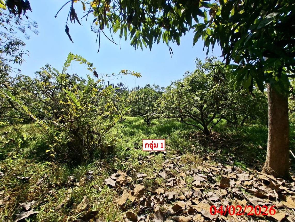 รูป ที่ดินว่างเปล่า สำหรับขาย - ยุหว่า สันป่าตอง เชียงใหม่ - รูปที่ 15/24