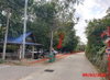 listing thumbnail image 21