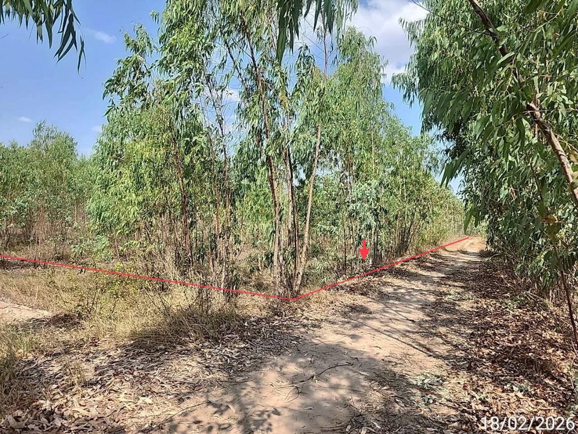 รูป ที่ดินว่างเปล่า 1781 ตร.วา สุวรรณภูมิ ร้อยเอ็ด 357,000 - รูปที่ 10/20