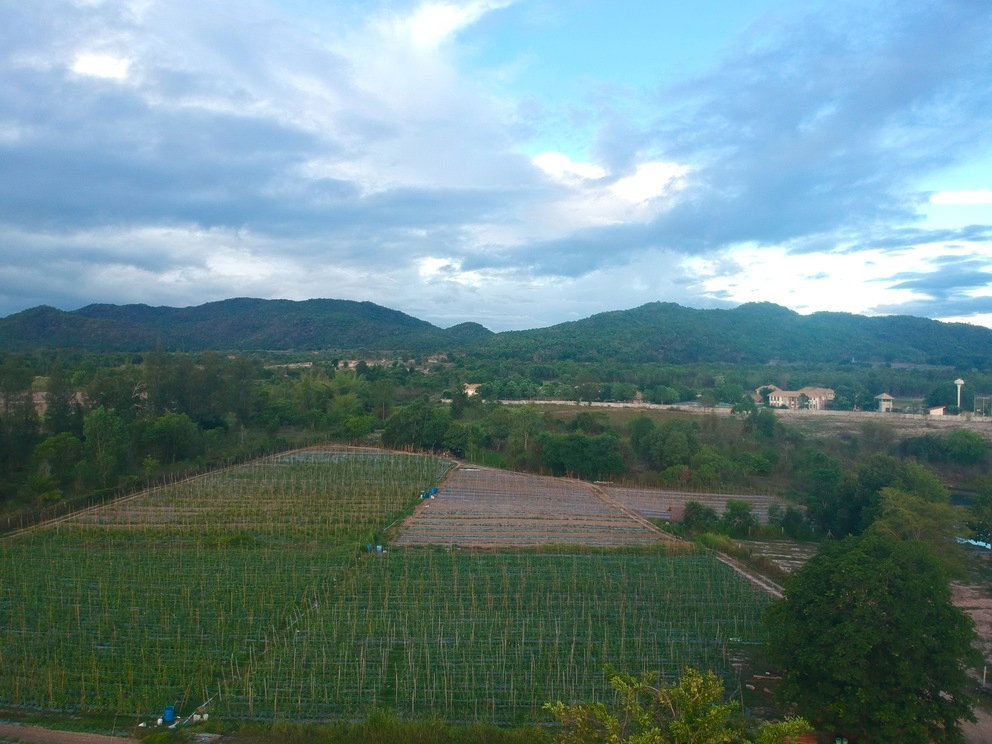 picture sold land for build house very perfect - 2/2