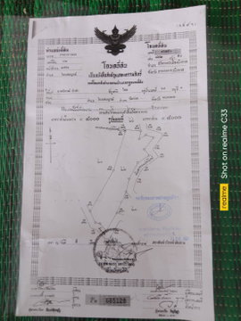 A plot of land over 30 rai in Bueng Kan province.