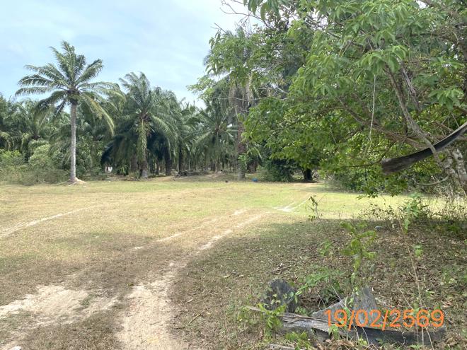 รูป ที่ดินว่างเปล่า 482.8 ตร.วา เหนือคลอง กระบี่ 1.2M - รูปที่ 3/18