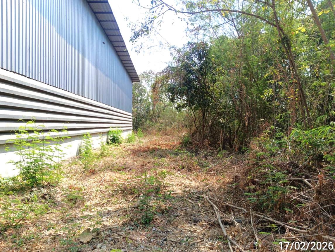 picture FACTORY 4000 Sq.w. Muang Phetchabun Phetchabun for 15.1M - 20/24