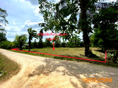 ที่ดินว่างเปล่า 1047 ตร.วา เหนือคลอง กระบี่ 4.6M