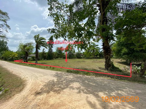 LAND 1047 Sq.w. Nua Khlong Krabi for 4.6M