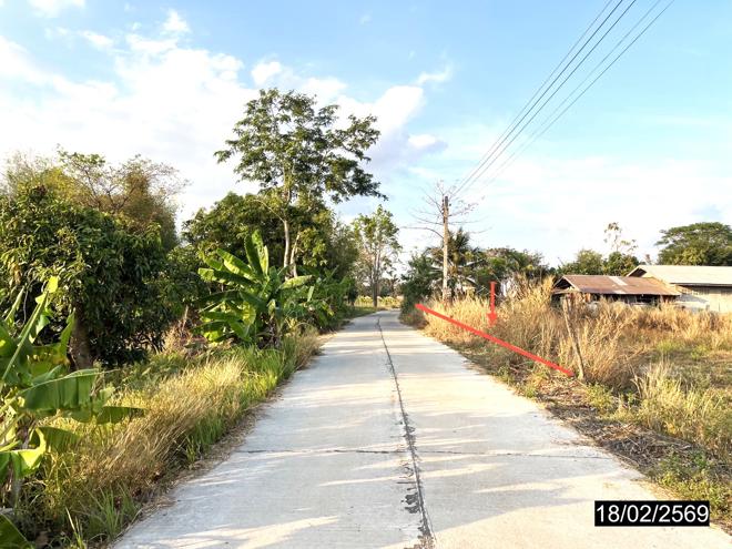 รูป ที่ดินว่างเปล่า สำหรับขาย - หนองกุงศรี หนองกุงศรี กาฬสินธุ์ - รูปที่ 7/18