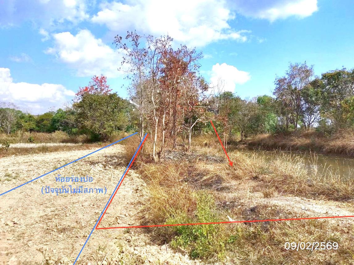 picture LAND 4220 Sq.w. Phu Kam Yao Phayao for 1.9M - 10/18