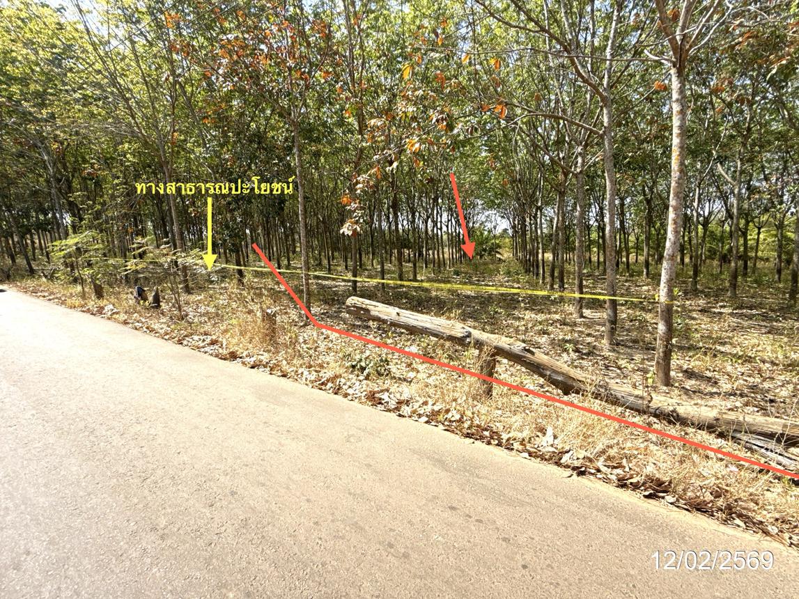 picture LAND 5920 Sq.w. Trakan Phutphon Ubon Ratchathani for 1.5M - 10/18