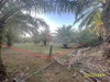 listing thumbnail image 25