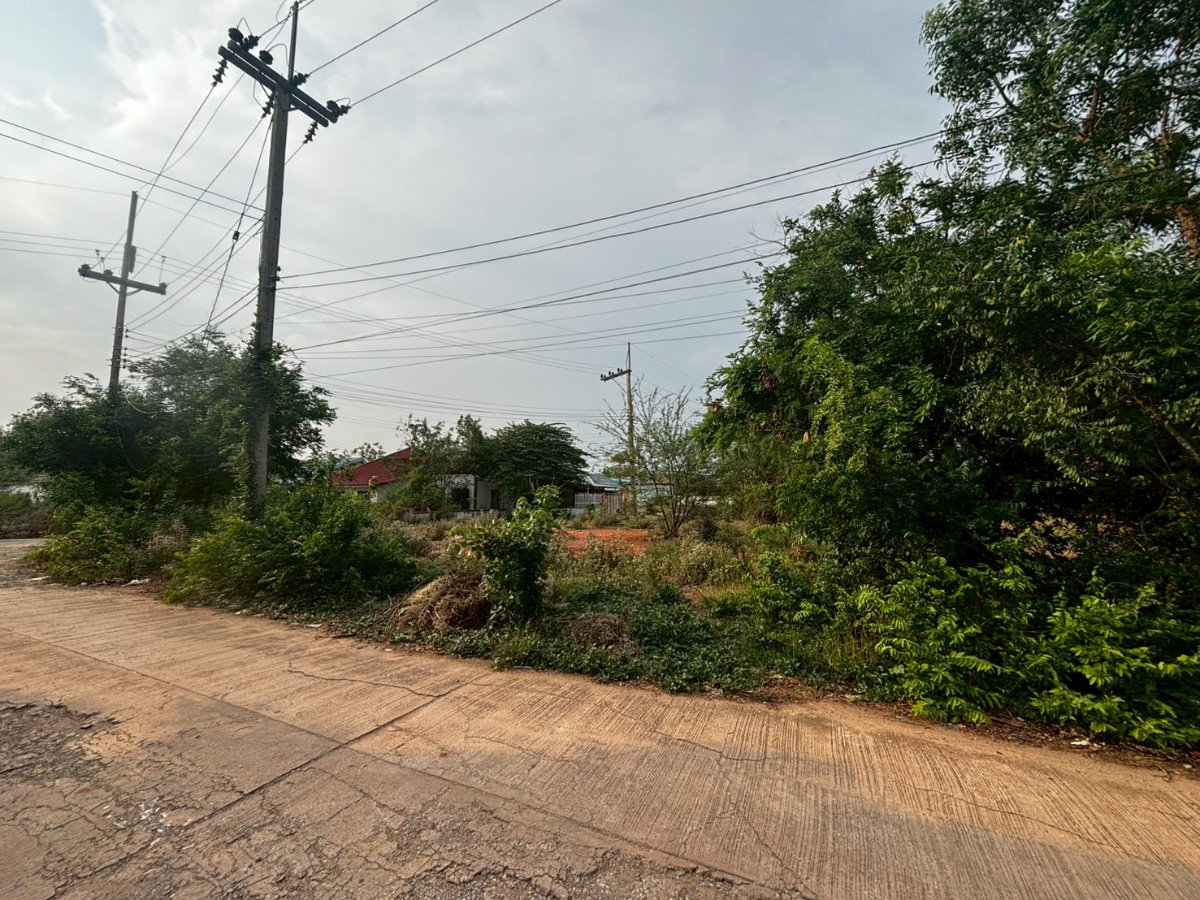 รูป ขายที่ดินโคราช 97 ตรว. ติดถนน หน้า ม.ออมสิน รร.บุญเหลือฯ โคราช ราคาถูก - รูปที่ 4/8