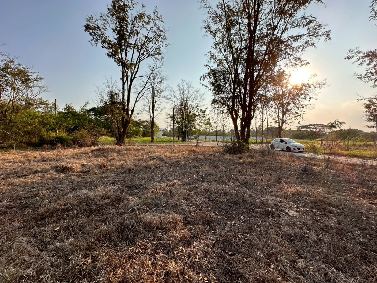 รูป ขายที่ดิน ห้วยทราย สันกำแพง ห่างจากเมือง20กม. - รูปที่ 2/7