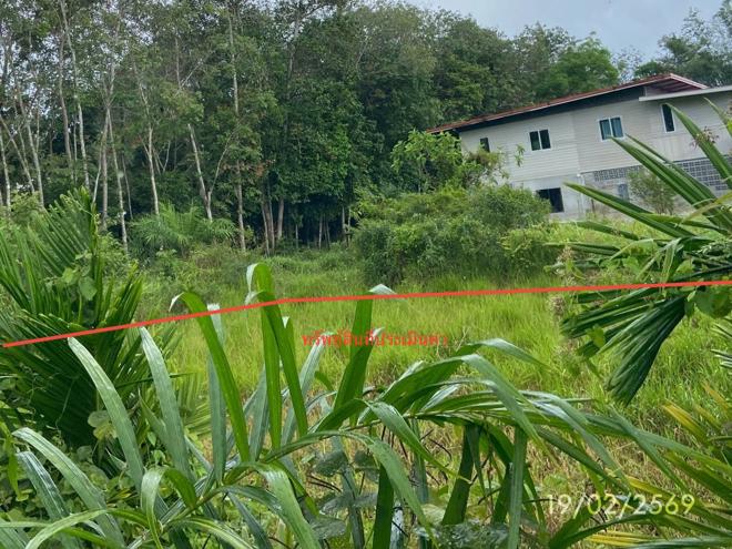 picture LAND 76.7 Sq.w. Rattaphum Songkhla for 537,000 - 5/24