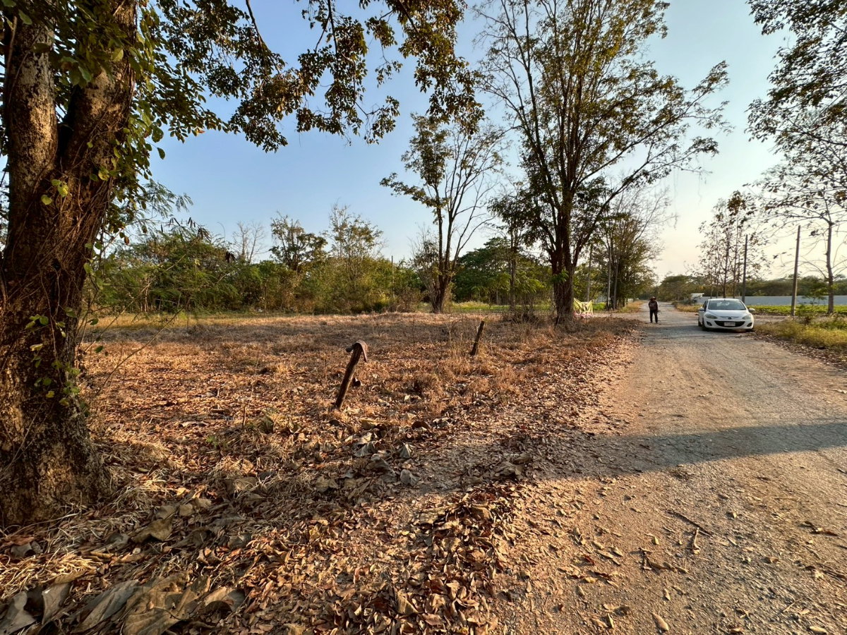 รูป ขายที่ดิน ห้วยทราย สันกำแพง ห่างจากเมือง20กม. - รูปที่ 3/7