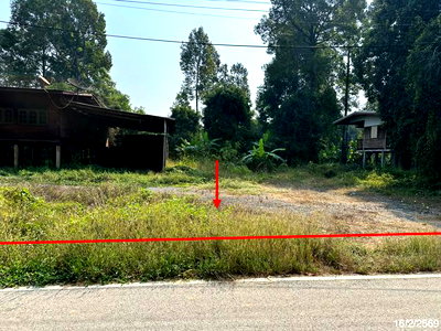 บ้านเดี่ยว 2403 ตร.วา โพทะเล พิจิตร 2.5M