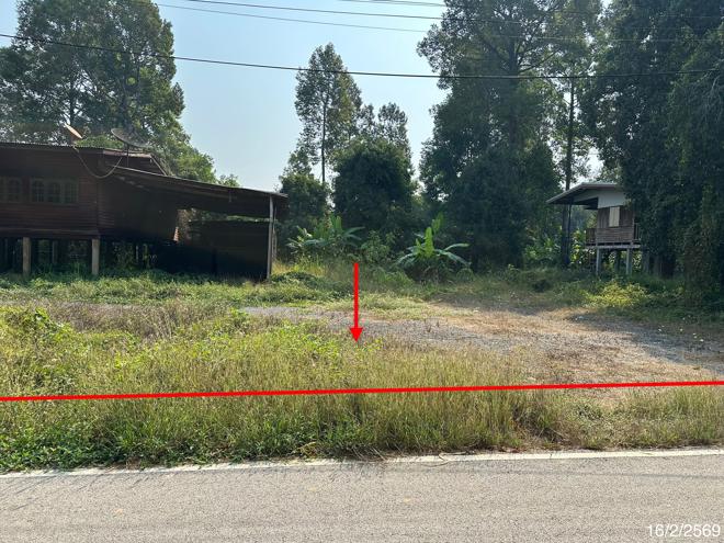 picture HOME 2403 Sq.w. Pho Thale Phichit for 2.5M - 1/44