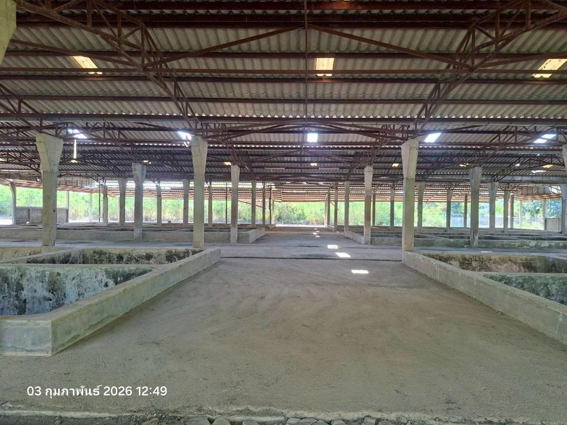 picture FACTORY 3707 Sq.w. Mae Sa-ruai Chiang Rai for 15.9M - 24/30