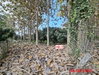 listing thumbnail image 18