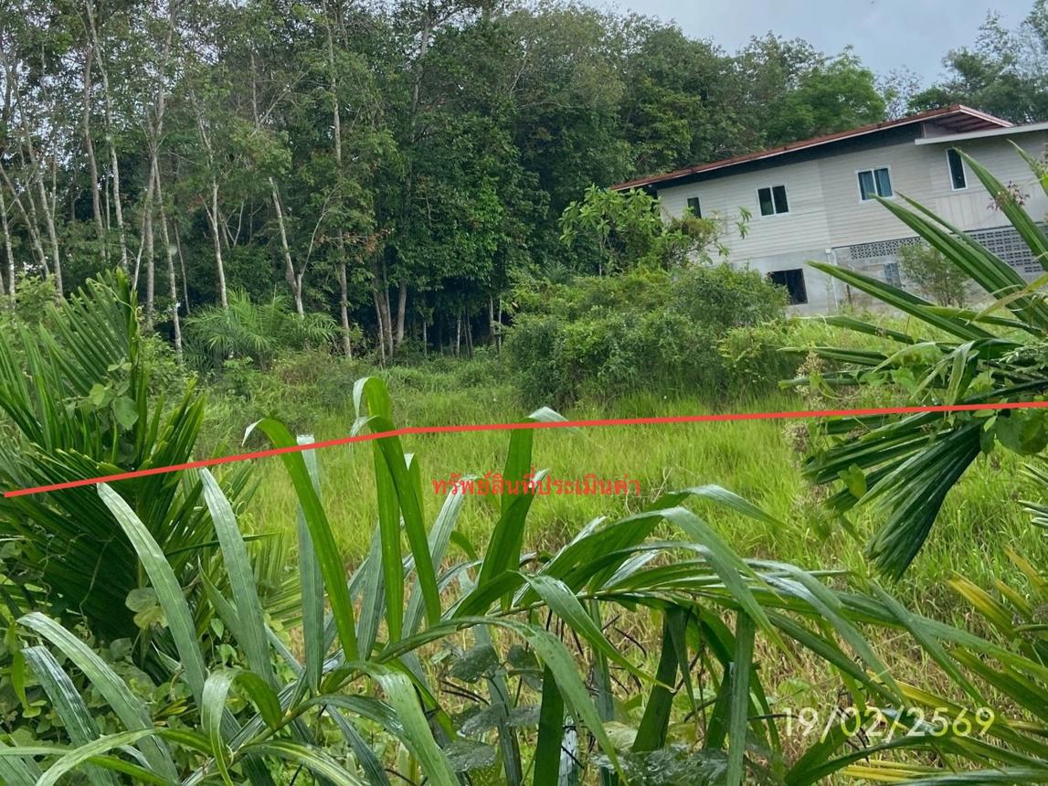 picture LAND 76.7 Sq.w. Rattaphum Songkhla for 537,000 - 15/24