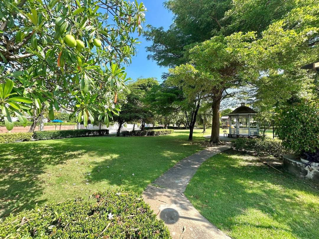 picture Passorn 26 Ratchapruek - Tiwanon - 18/20