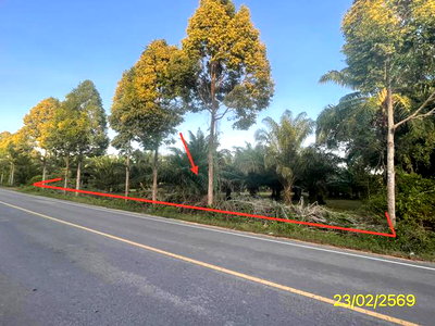 LAND 1887 Sq.w. Hat Samran Trang for 5.2M