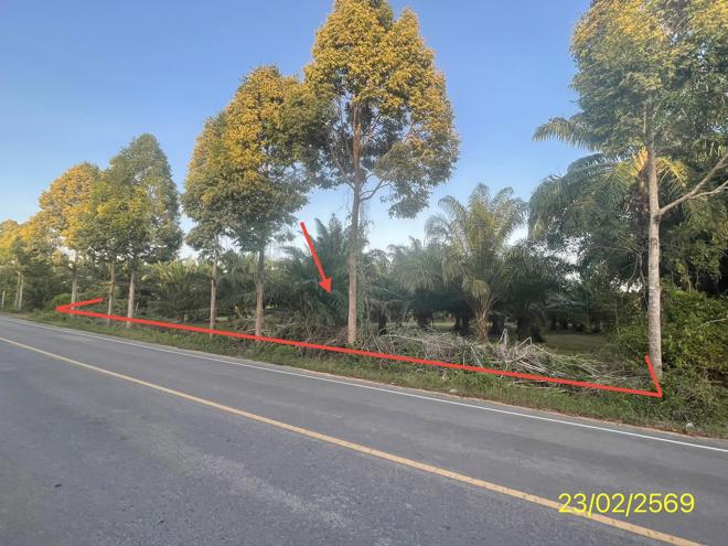 picture LAND 1887 Sq.w. Hat Samran Trang for 5.2M - 1/36