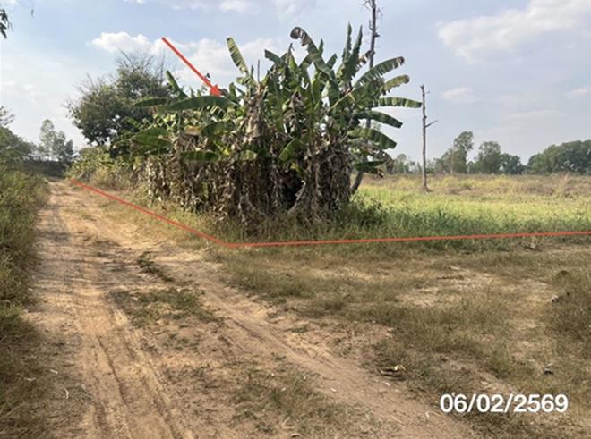 picture LAND 11763 Sq.w. Nam Yun Ubon Ratchathani for 5.9M - 4/22