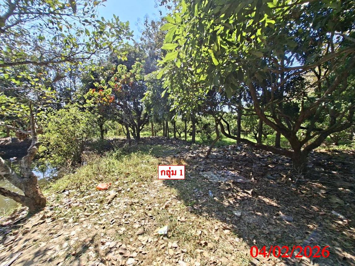 รูป ที่ดินว่างเปล่า สำหรับขาย - ยุหว่า สันป่าตอง เชียงใหม่ - รูปที่ 13/24