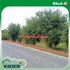 listing thumbnail image 9