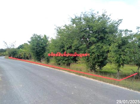 รูป ที่ดินว่างเปล่า สำหรับขาย - ทุ่งสะโตก สันป่าตอง เชียงใหม่ - รูปที่ 9/12