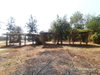 listing thumbnail image 40
