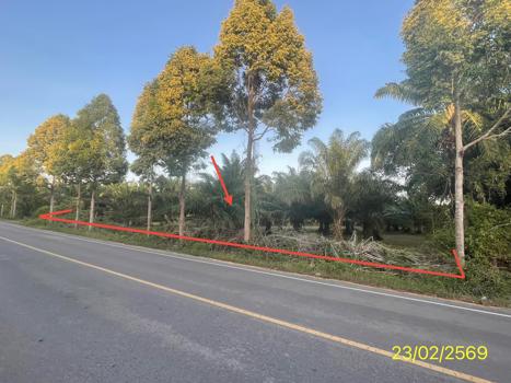 picture LAND 1887 Sq.w. Hat Samran Trang for 5.2M - 33/36