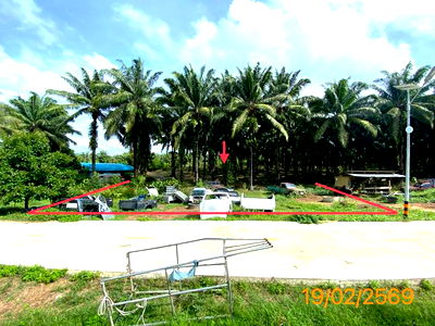 Land for sale Krabi : LAND for sale  Ao Luk Nua Ao Luk Krabi