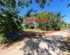 listing thumbnail image 18